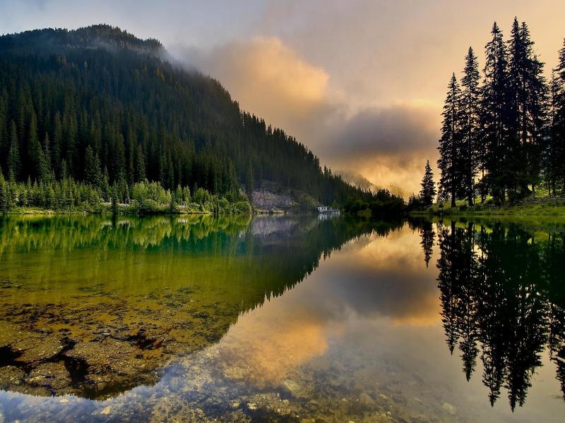 Aparthotel Alpin Life image