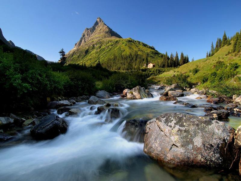 Aparthotel Alpin Life image