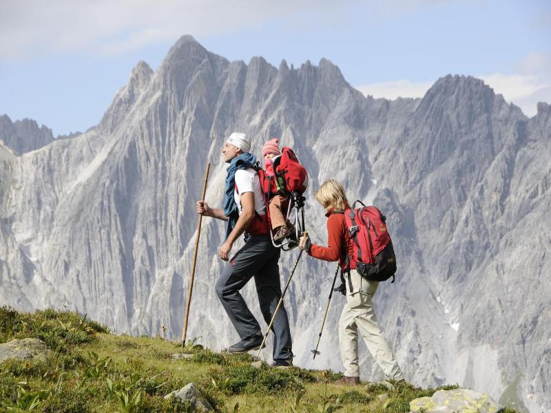 Aparthotel Alpin Life image