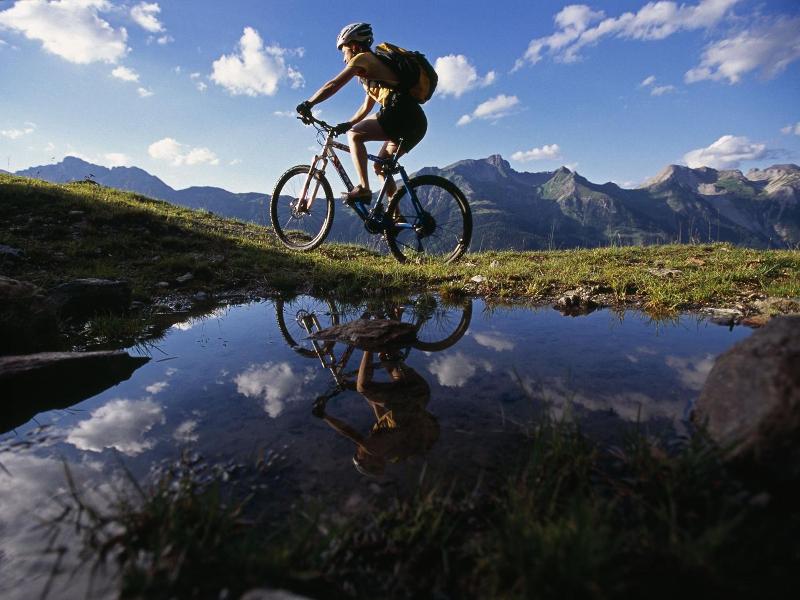 Aparthotel Alpin Life image