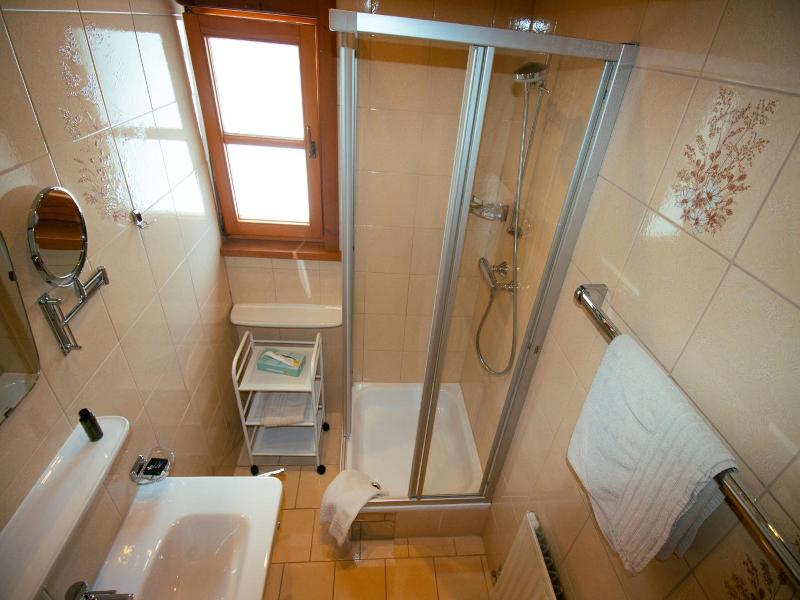 Aparthotel Alpin Life image
