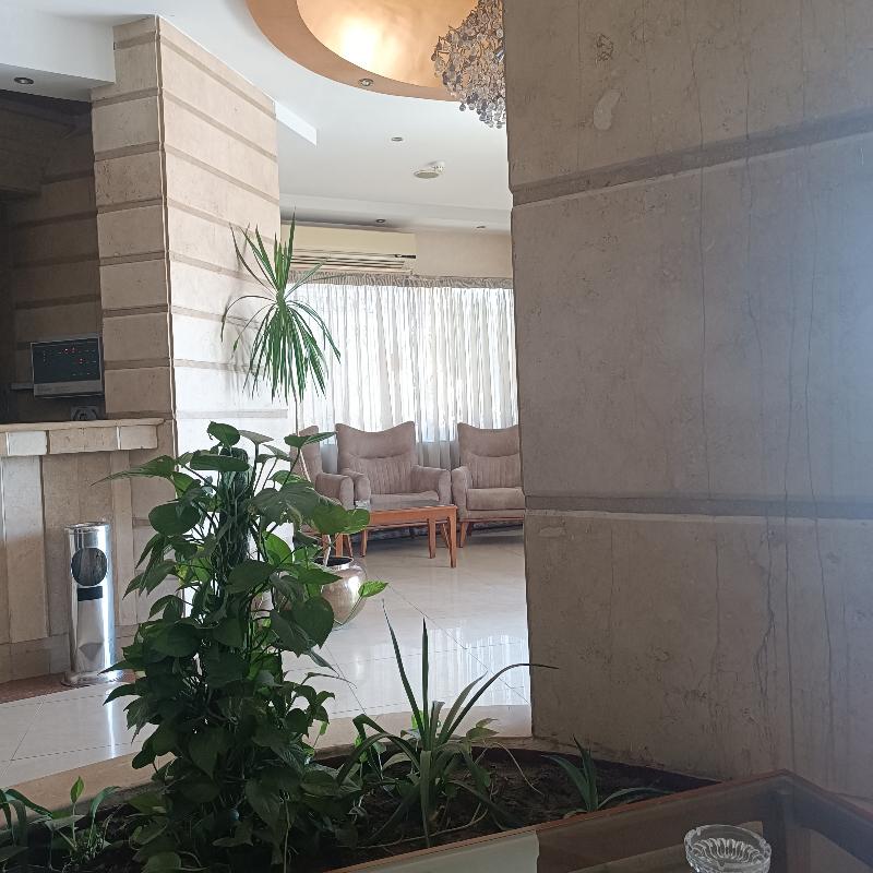 Susanna Hotel Luxor image