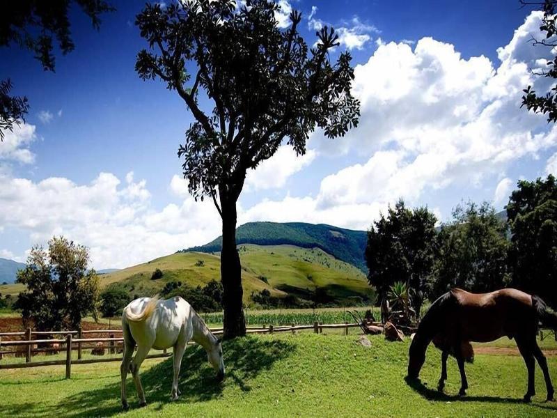Caracal Lodge