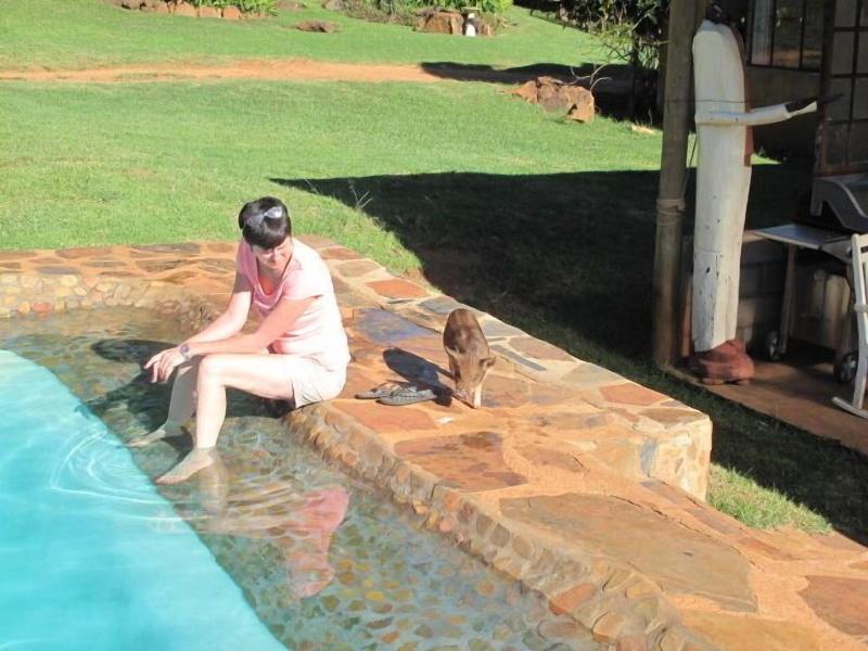 Caracal Lodge