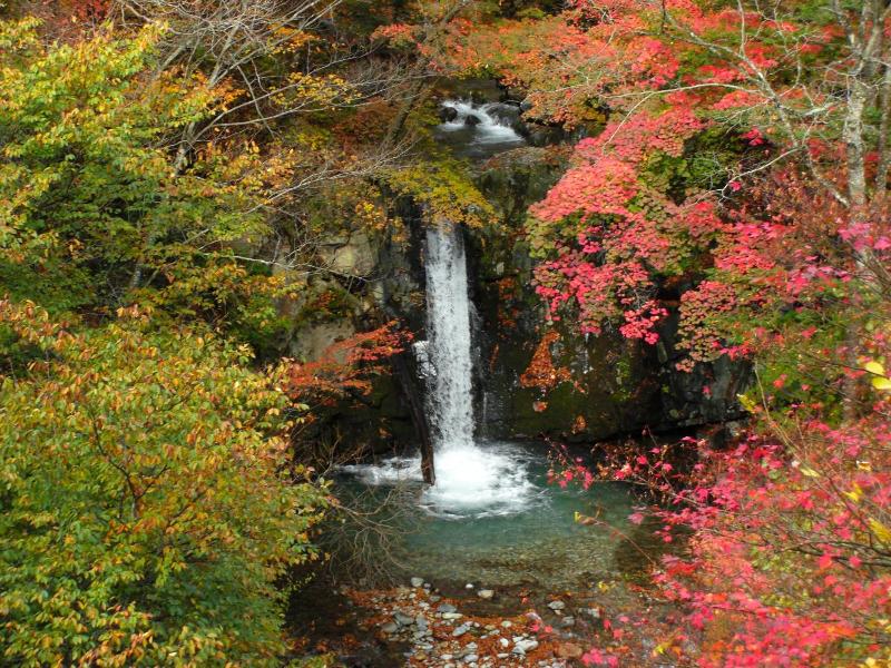Shima Onsen Ayameya Ryokan image