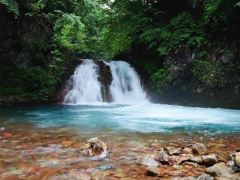 Shima Onsen Ayameya Ryokan image