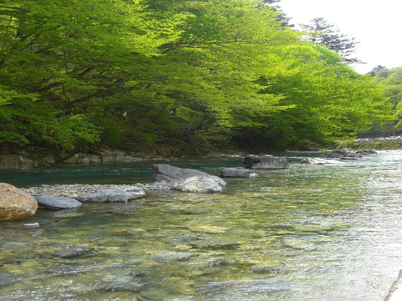 Shima Onsen Ayameya Ryokan image