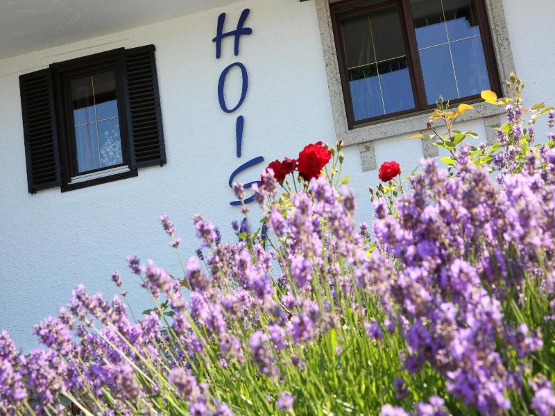 Seegasthof Hotel Hois N Wirt image
