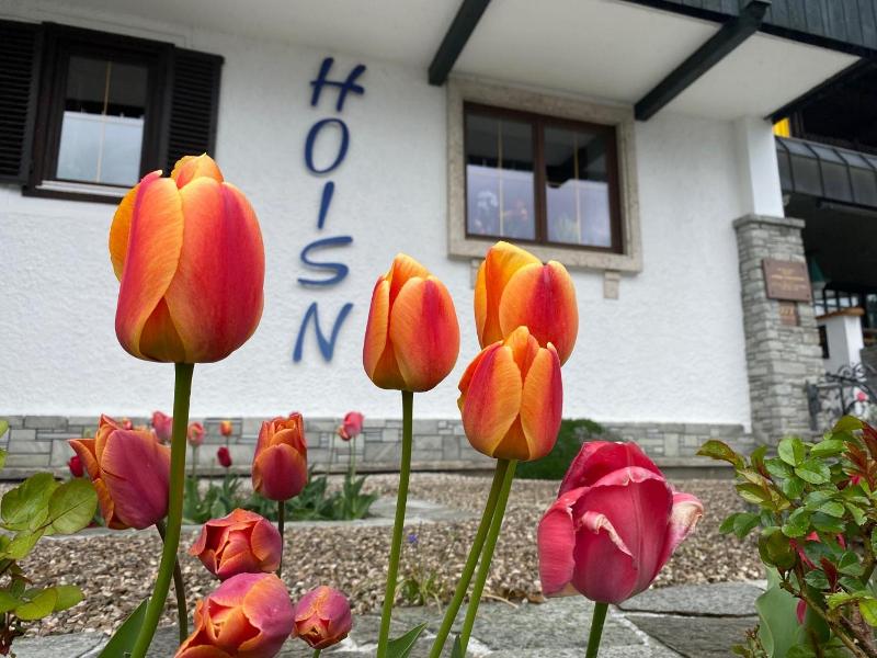 Seegasthof Hotel Hois N Wirt image