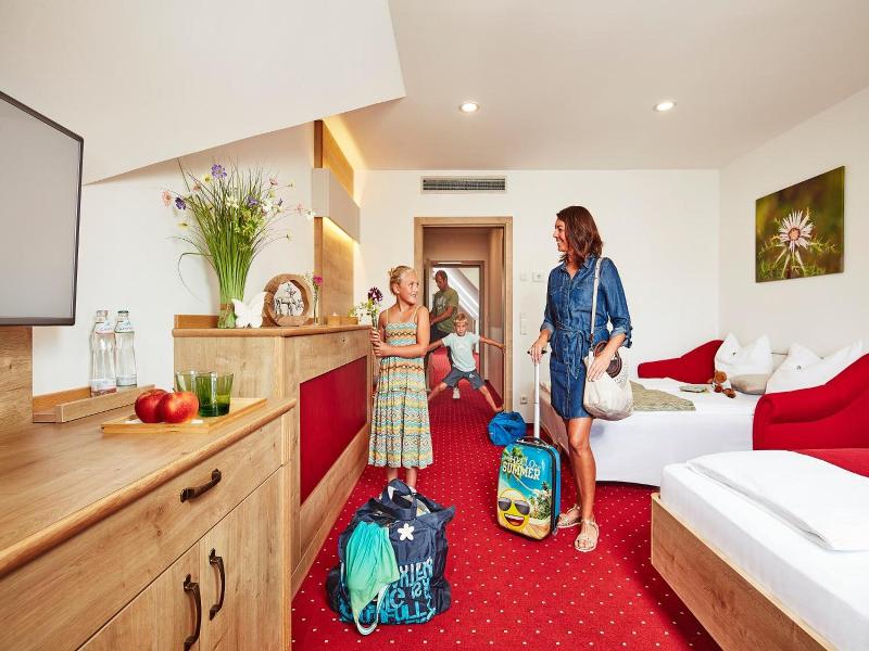 Donauhotel Lettnerhof image