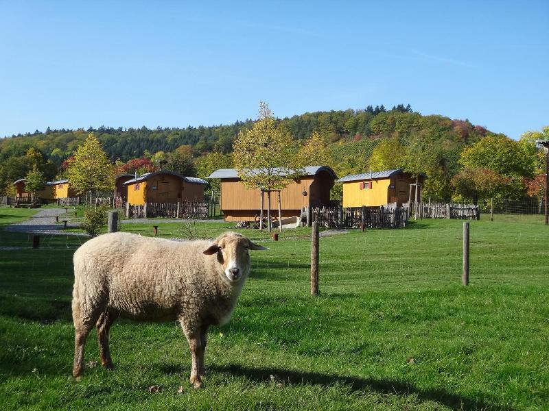 Natur Resort Tripsdrill image