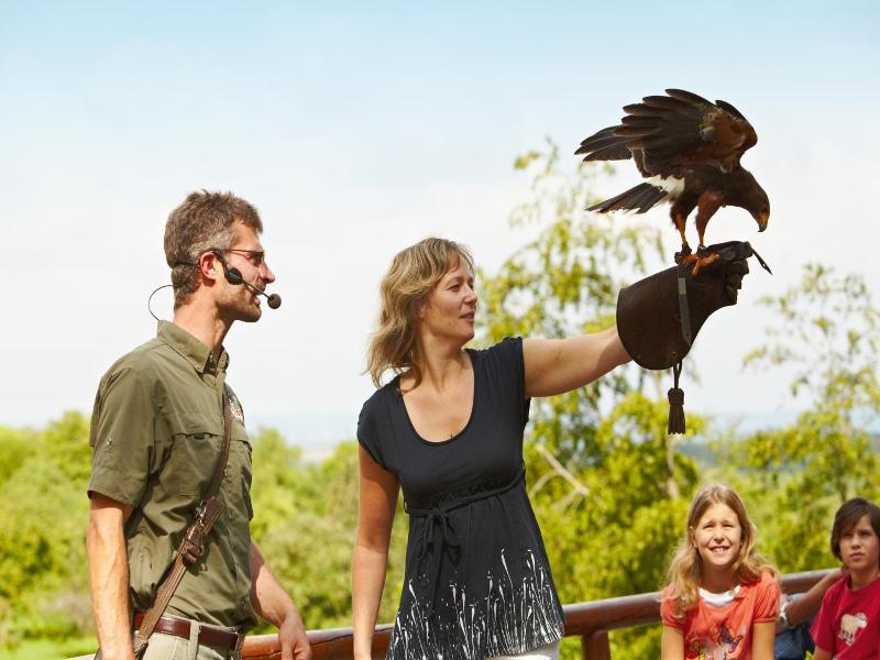 Natur Resort Tripsdrill image