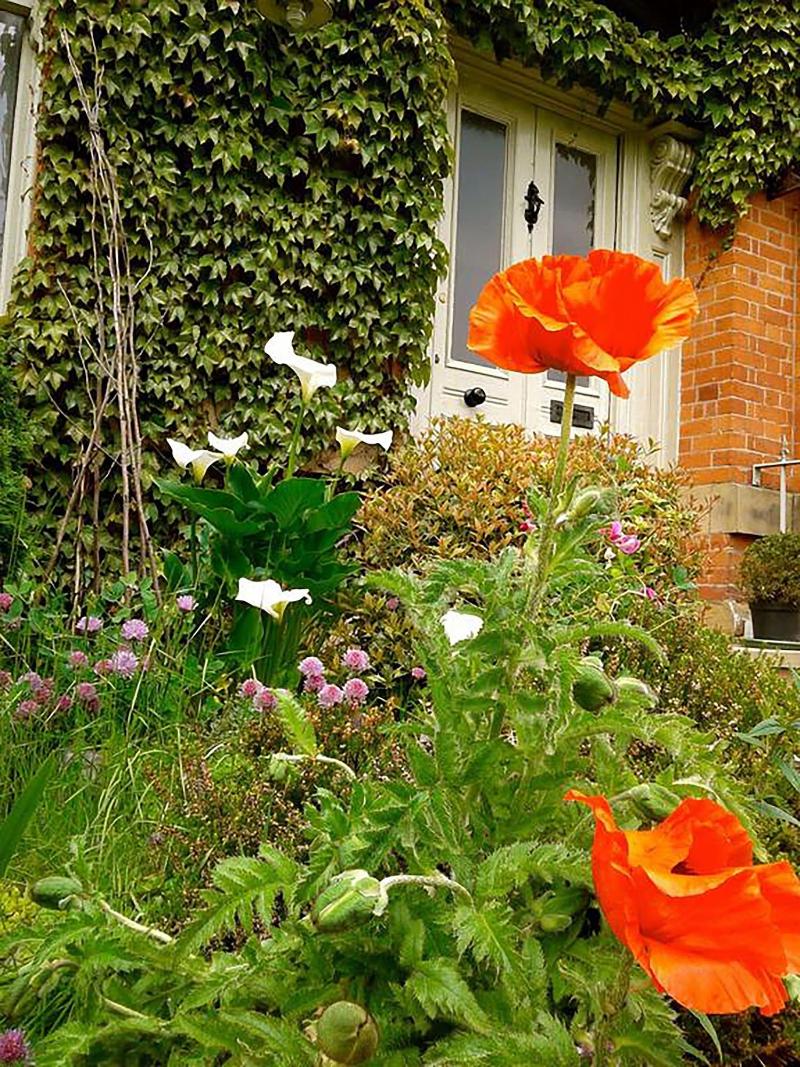 Cornerstones Guest House image