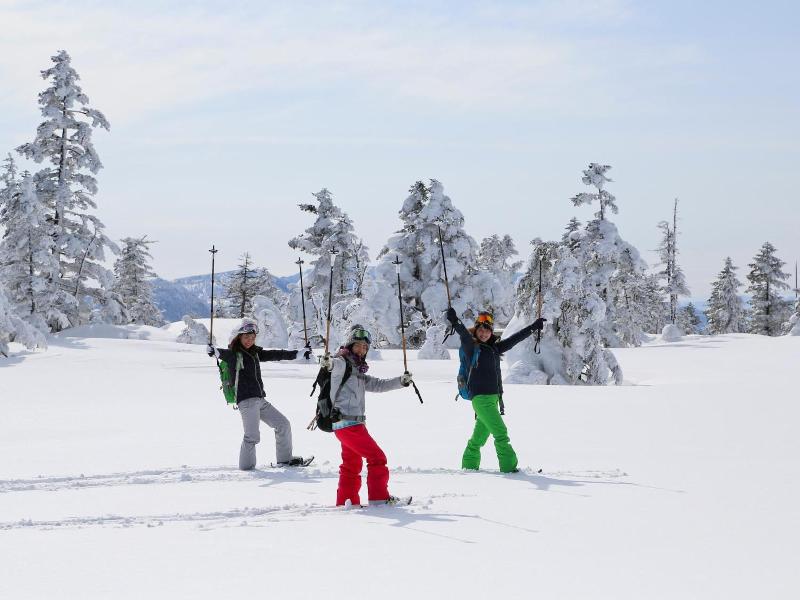 Sachinoyu Hotel Shiga Kogen image
