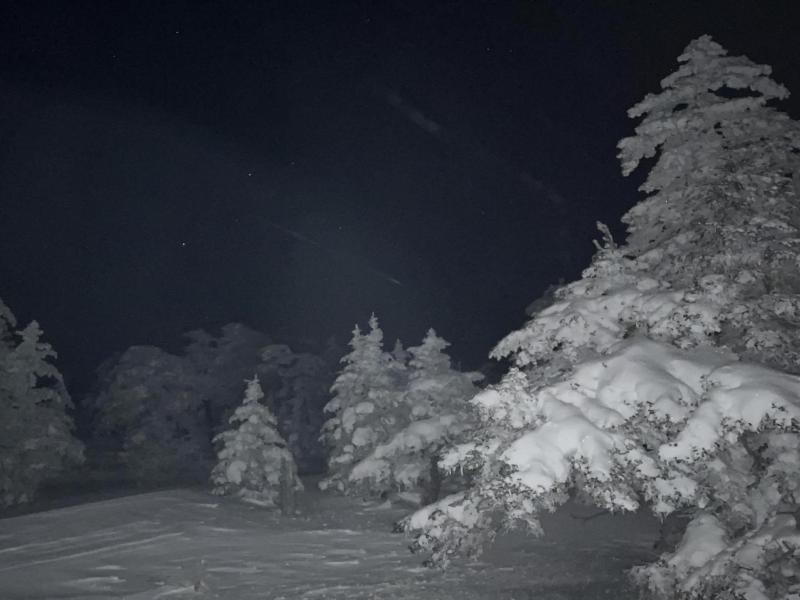 Sachinoyu Hotel Shiga Kogen image