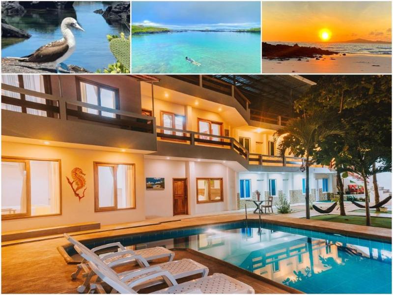 Galápagos Isabela Loja Hotel image
