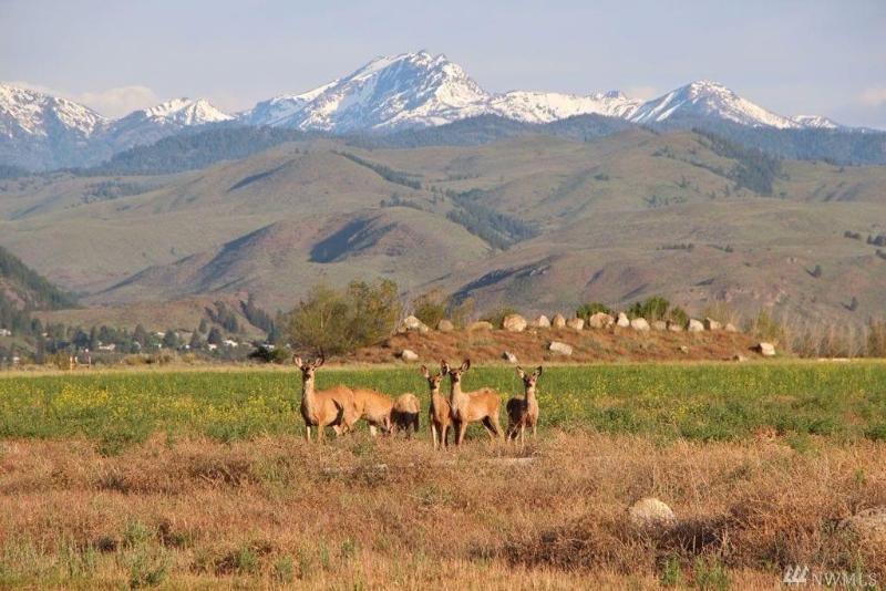 Casia Lodge And Ranch