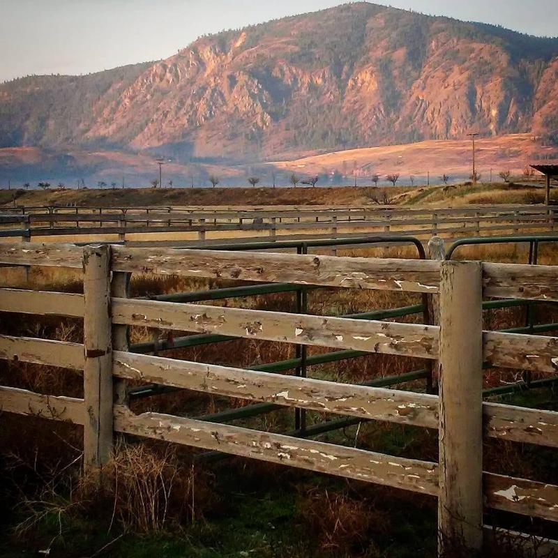 Casia Lodge And Ranch