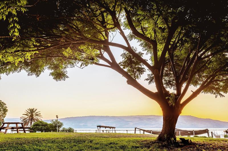 Daria - Authentic Israel Experience image