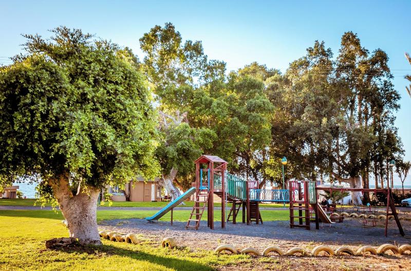 Daria - Authentic Israel Experience image