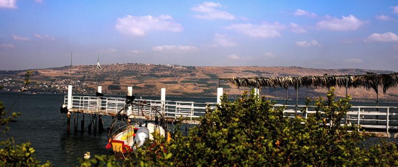 Daria - Authentic Israel Experience image