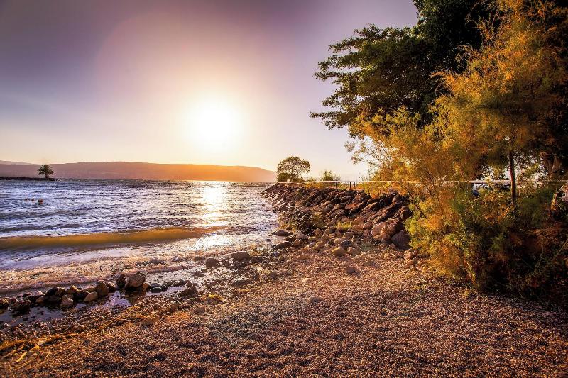 Daria - Authentic Israel Experience image