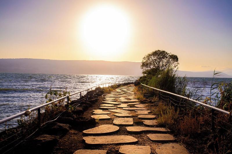 Daria - Authentic Israel Experience image