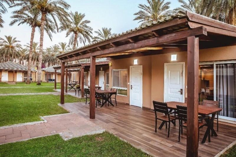 Daria - Authentic Israel Experience image