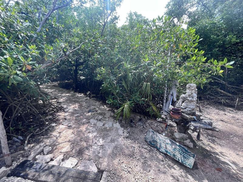 Yaxchen Tulum Cabaã±as & Cenote image
