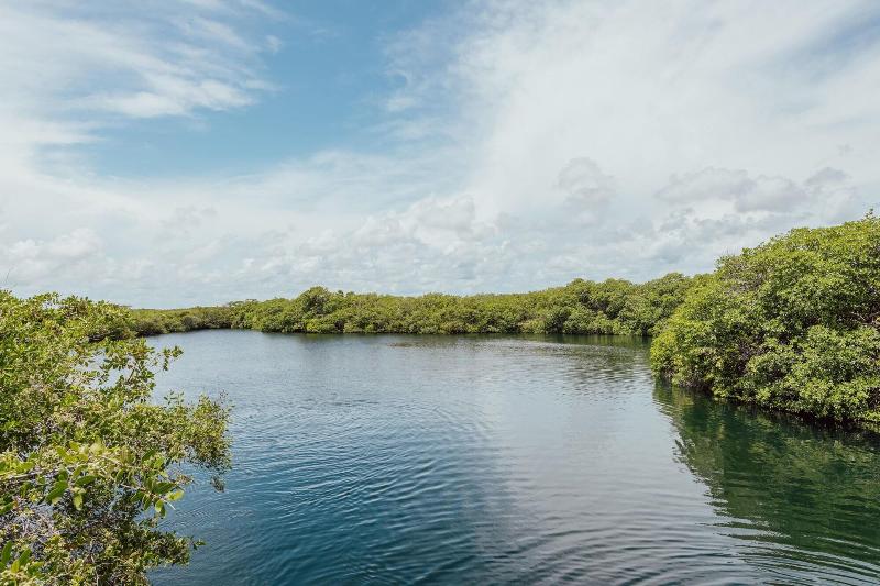 Yaxchen Tulum Cabaã±as & Cenote image