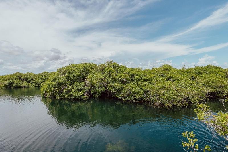 Yaxchen Tulum Cabaã±as & Cenote image