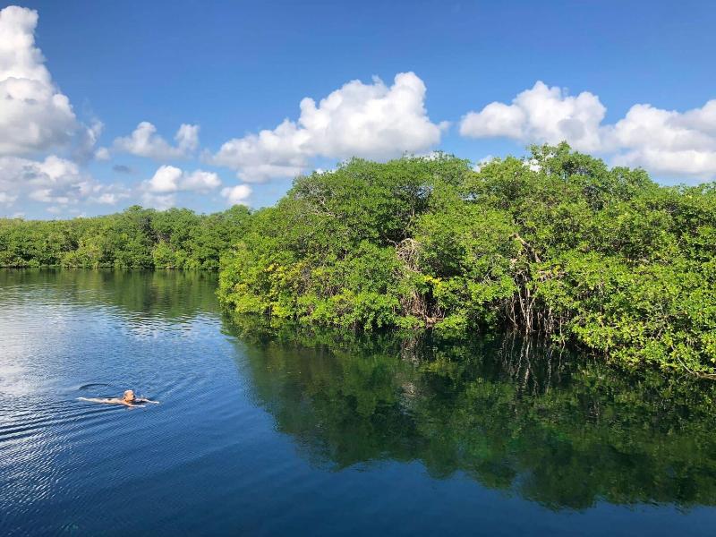 Yaxchen Tulum Cabaã±as & Cenote image