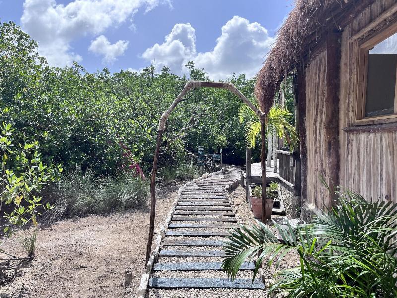 Yaxchen Tulum Cabaã±as & Cenote image