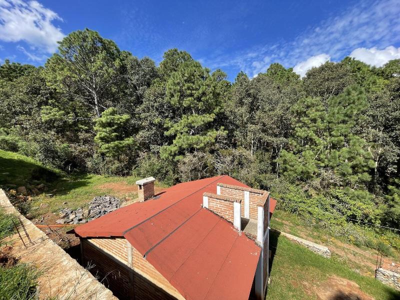 Cabaã±as Los Pirineos