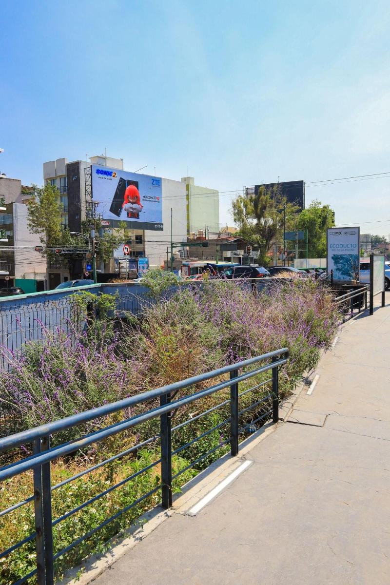 Colmena Monterrey image