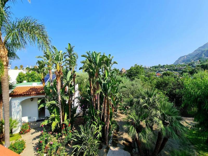 Cocos Park Ischia image