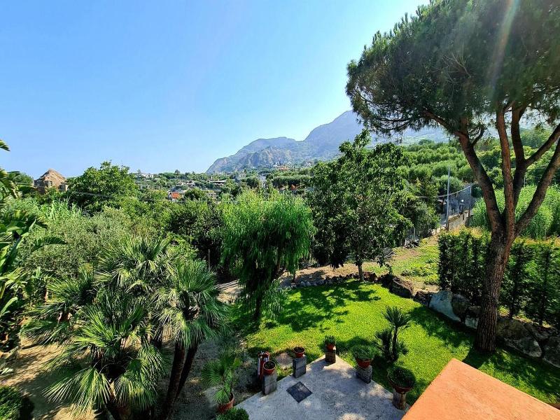 Cocos Park Ischia image