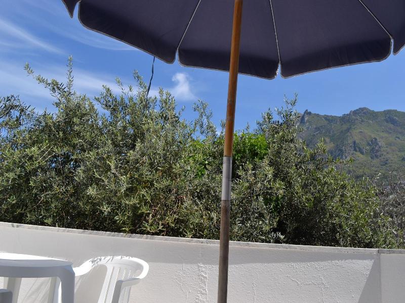 Cocos Park Ischia image