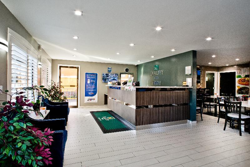 Bay Area Inn & Suites - Hayward image