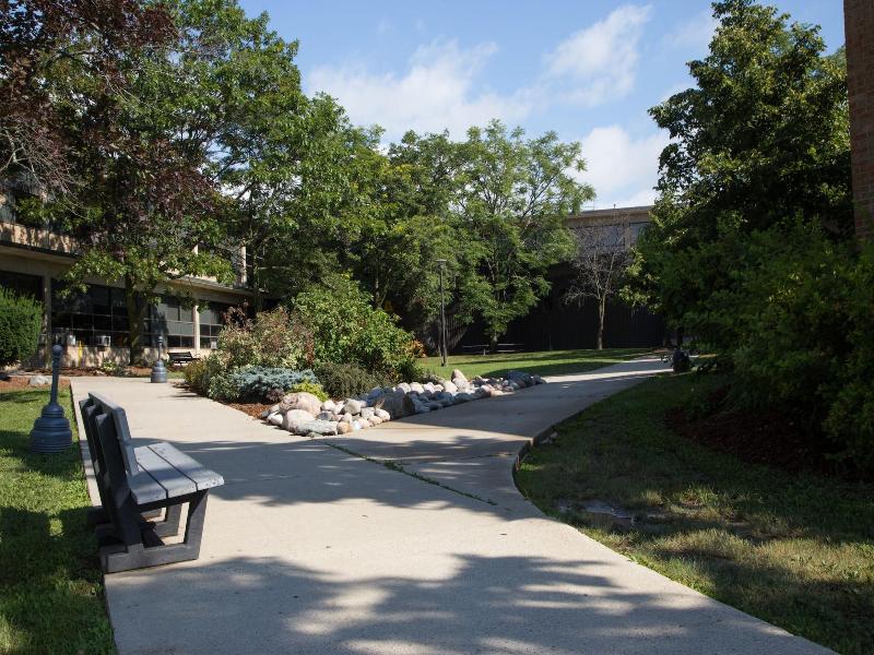 Humber College Lakeshore Campus Residence image