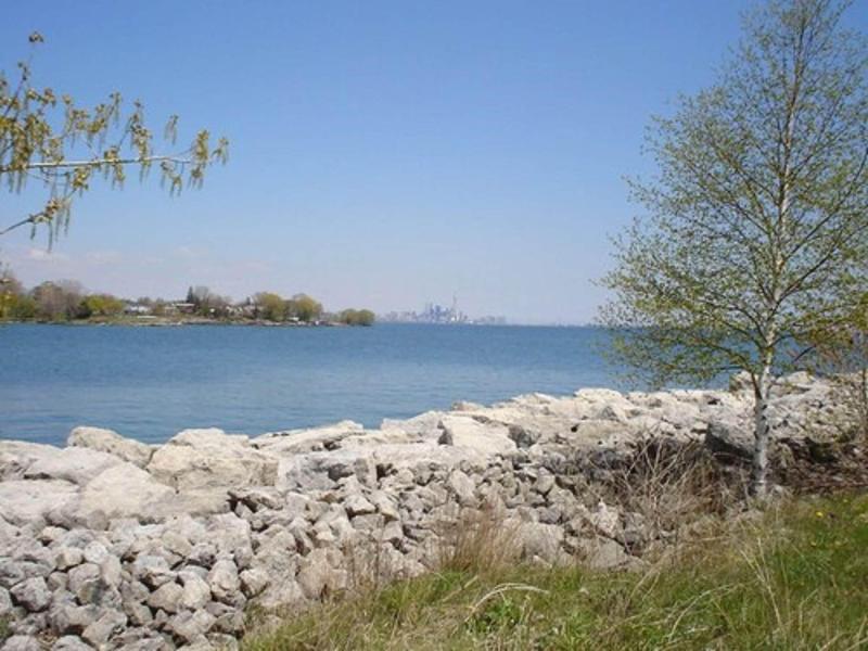 Humber College Lakeshore Campus Residence image