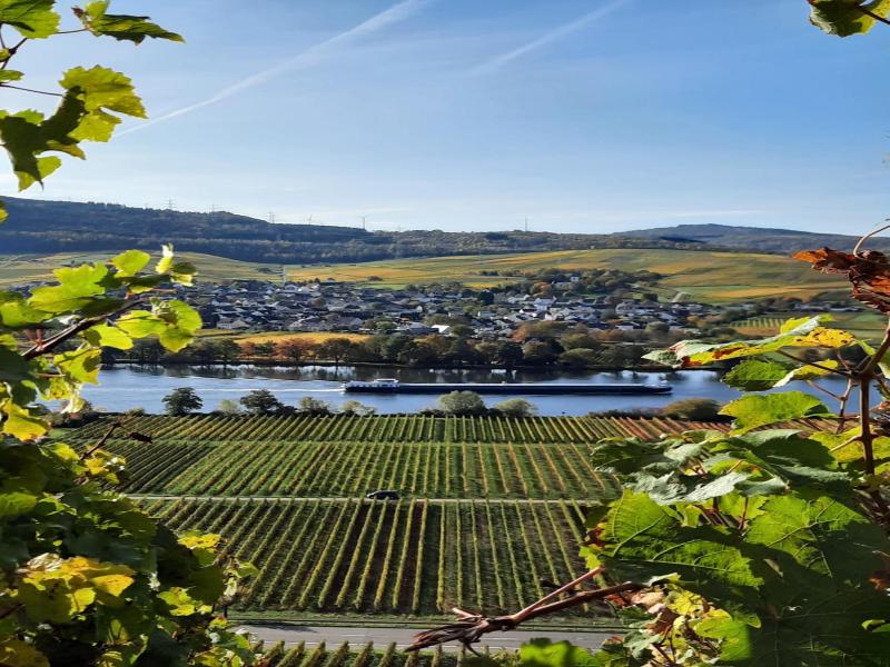 Weingut Weich image