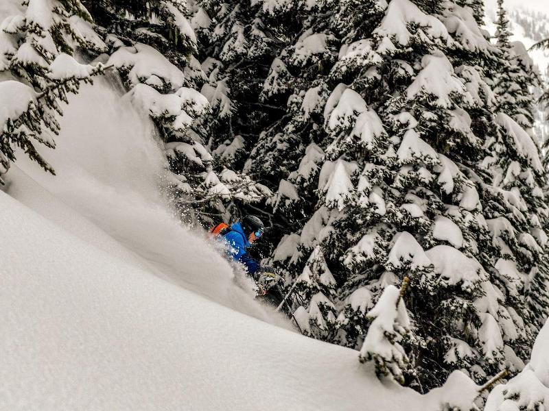 Eleven Revelstoke Lodge image