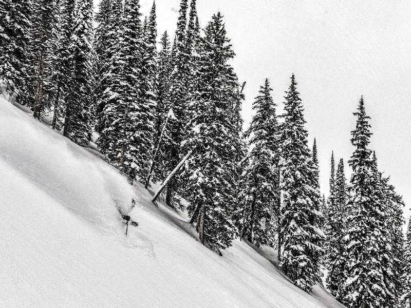 Eleven Revelstoke Lodge image