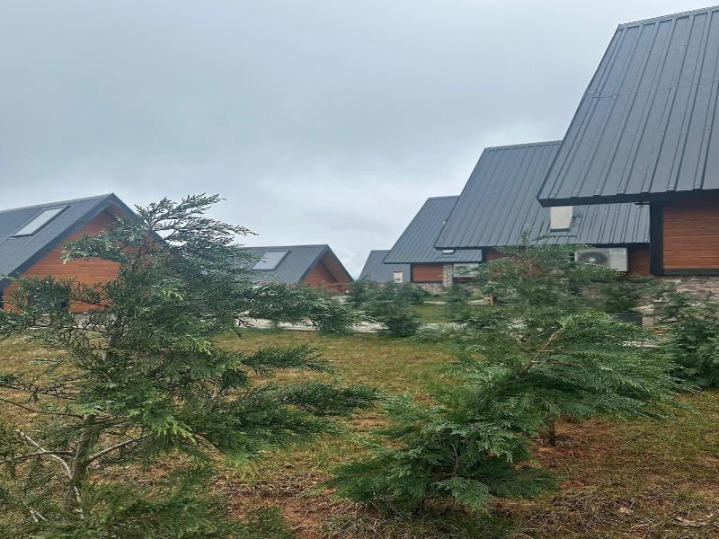 Of Ã‡amlä±k Bungalov image