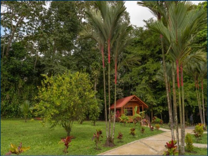 Natural Green Lodge image