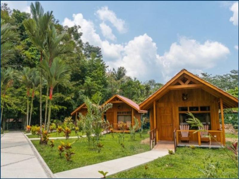 Natural Green Lodge image