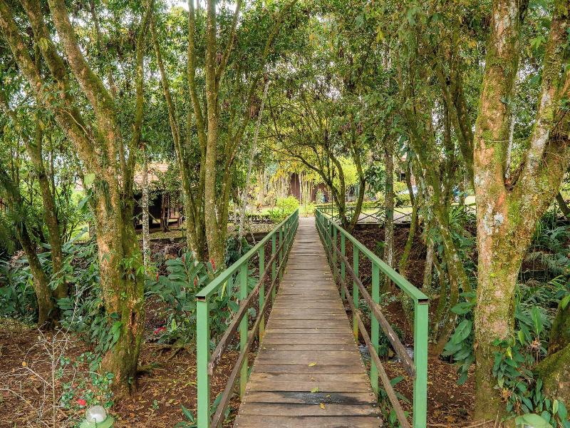 Natural Green Lodge image
