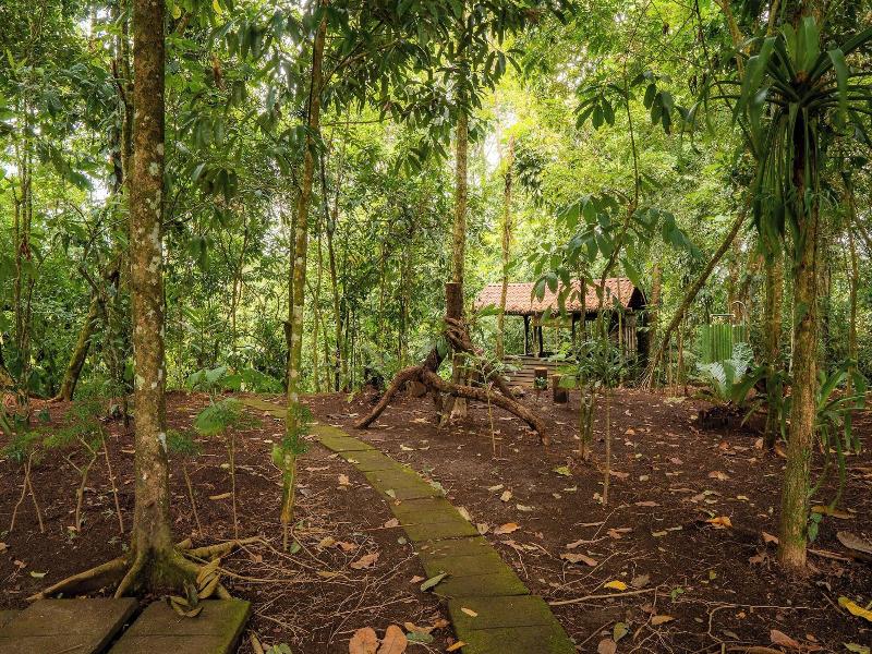 Natural Green Lodge image