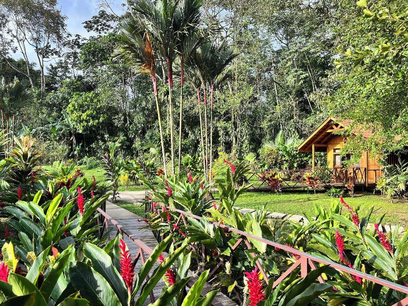 Natural Green Lodge image